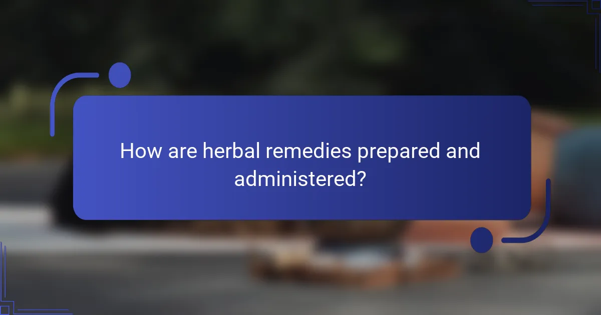 How are herbal remedies prepared and administered?