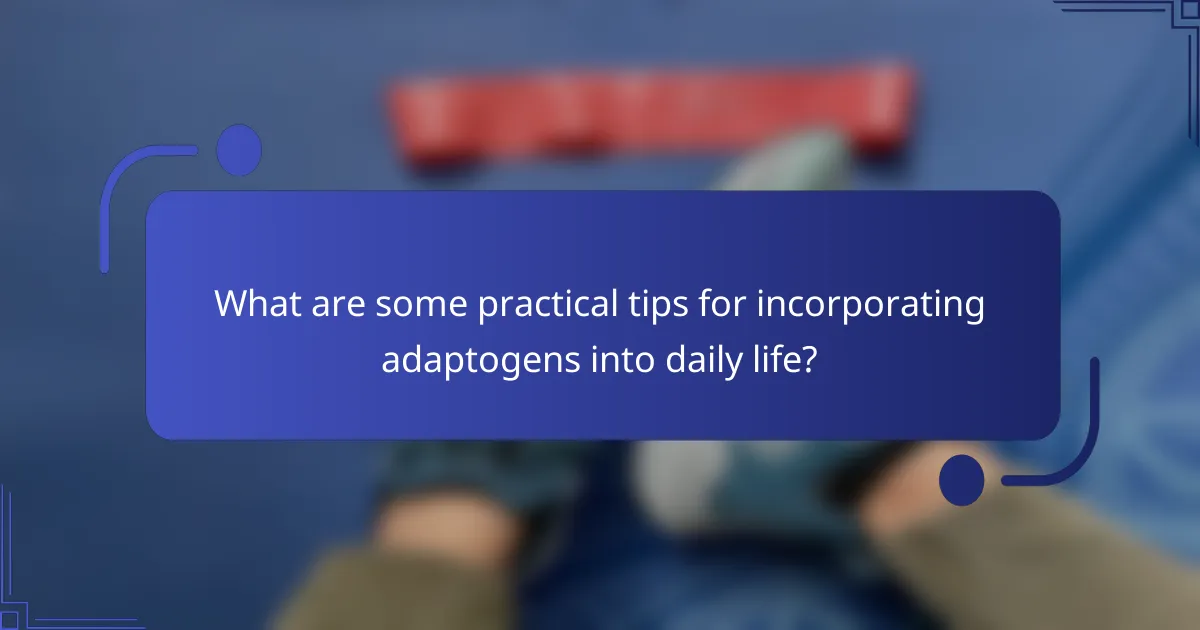 What are some practical tips for incorporating adaptogens into daily life?
