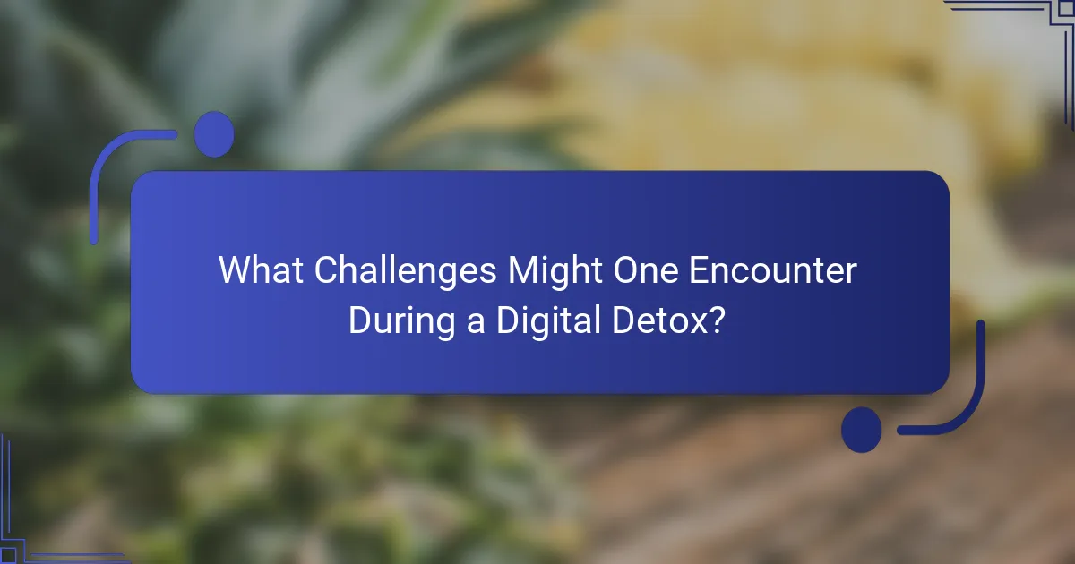 What Challenges Might One Encounter During a Digital Detox?