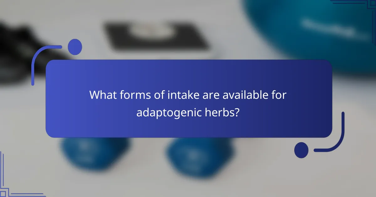 What forms of intake are available for adaptogenic herbs?