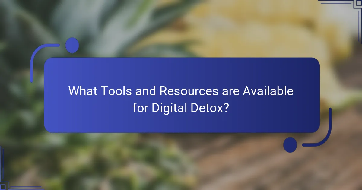 What Tools and Resources are Available for Digital Detox?